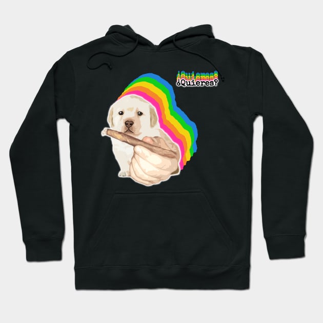 ¿Quieres? Puppy Meme Hoodie by Barnyardy